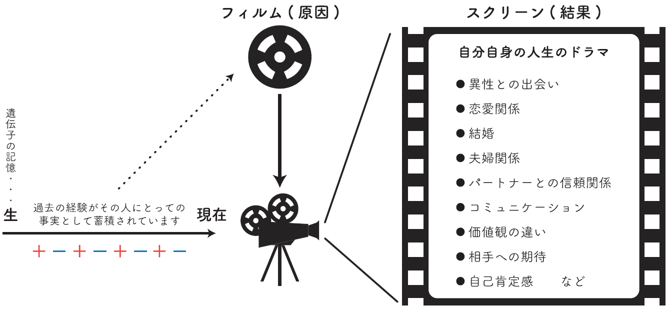 フィルムとスクリーン